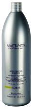 Amethyste Regule Shampoo