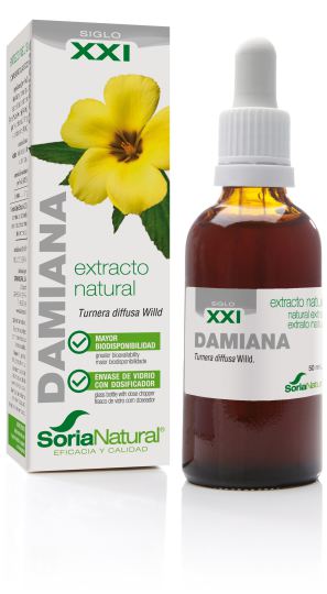 Extract van Damiana Siglo XXI