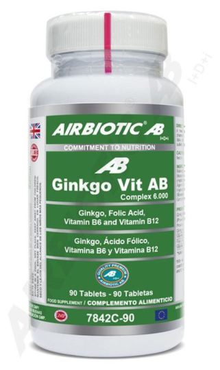 Ginkgo Vit 6000 90 capsules