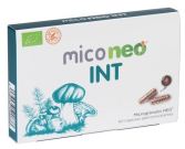 Mico Int 60 capsules