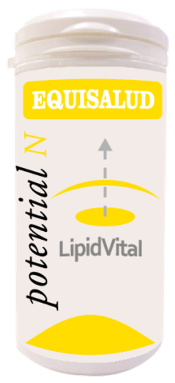 Lipidvital 60 capsules