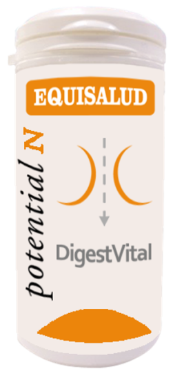 Digessvital 60 capsules