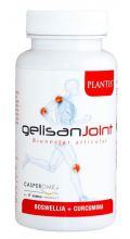 Gelisan Gewricht 60 capsules