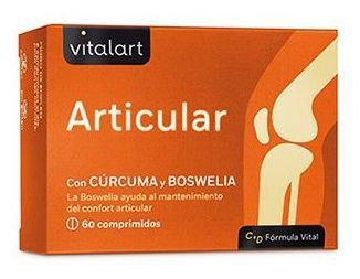 Vitalart Articular 60 tabletten