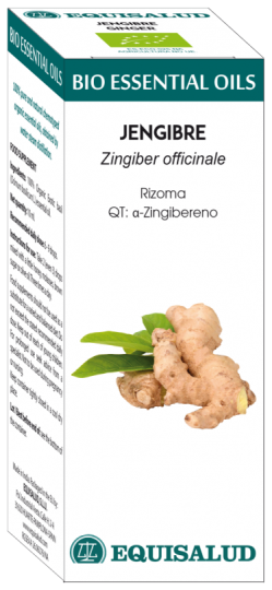 Bio etherische olie gember 10 ml Qt: Alfa-Zingiber