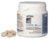 Pleurotus 90 tabletten