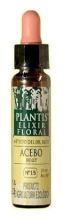 Plantis 15 Hulst 10 ml