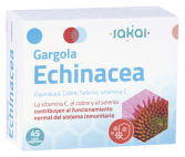 Gargola Echinacea de beste verdediging 45 capsules