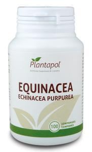 Echinacea 100 Eco-tabletten