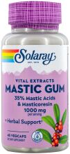 Mastic Gum 500 mg 45 Cápsulas Vegetales