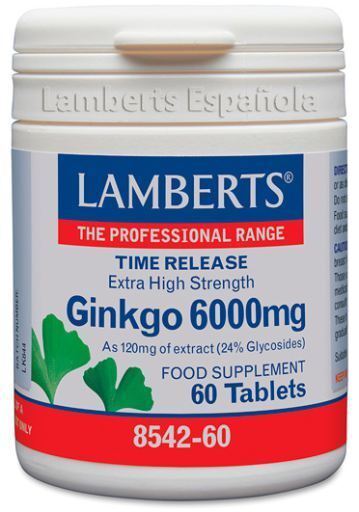 Ginkgo Biloba 6000 High Power 120 mg 30 eenheden