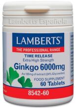 Ginkgo Biloba 6000 High Power 120 mg 30 eenheden