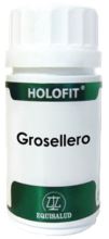 Holofit bessencapsules