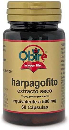 Harpagofito 500 mg droog extract 100 tabletten