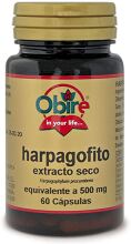 Harpagofito 500 mg droog extract 100 tabletten