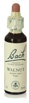 Bach 33 Walnoot 20 ml