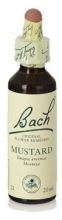 Bach 21 Mosterd 20 ml