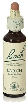 Bach 19 Lariks 20 ml