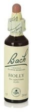 Bach 15 hulst 20 ml