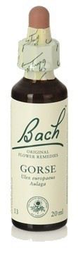 Bach 14 Heide 20 ml