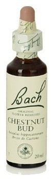 Bach 7 Kastanje Bud 20 ml