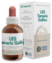 Tamarix Gallica Franse Tamarisk 50 ml