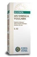 Syringa Vulgaris Lila 50 ml