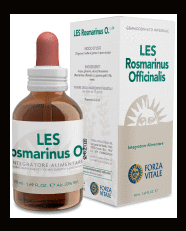 Rosmarinus Officinalis Rozemarijn 50 ml