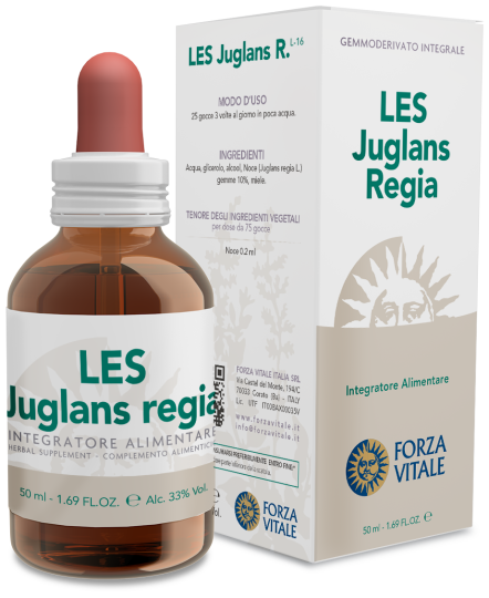 Juglans Regia Perzische walnoot 50 ml