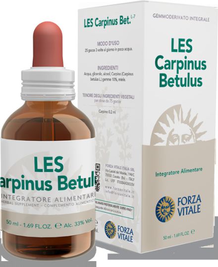 Carpinus Betulus haagbeuk 50 ml