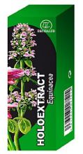 Holoextract Echinacea 50Ml.