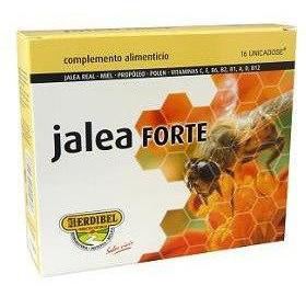 Jelly Forte 16 ampullen x 10 ml