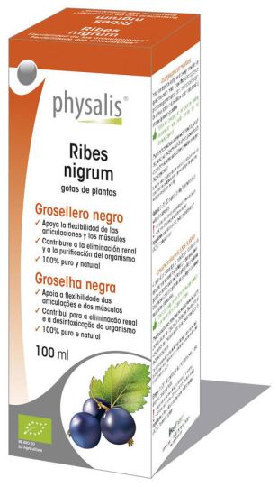 Ribes Nigrum 100 ml bio-extract