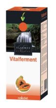 Vitalferment Gefermenteerde Papaya 250 ml