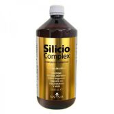 Siliciumcomplex