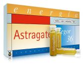 Astragater tegor 36 royal jelly 10 ampullen