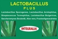 Lactobacillus Plus 60 capsules