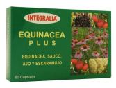 Echinacea Plus 60 capsules