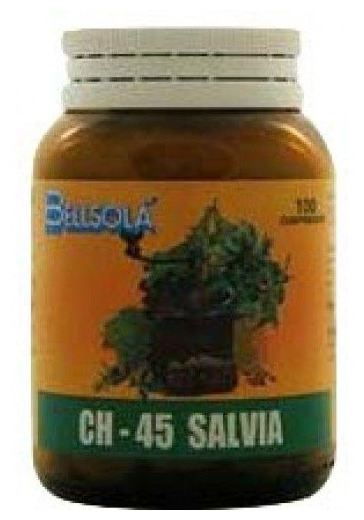 Ch-45 Salvia 100 tabletten