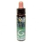 Plantis Nº 6 Eigenwaarde 10 ml