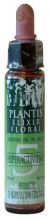 Plantis Nº 5 Hyperactiviteit 10 ml