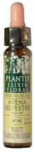 Wilde haver Plantis Nº 36 10 ml