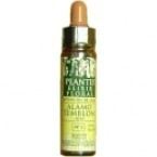 Ster van Bethlehem Plantis Nº 29 10 ml