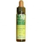 Olijf Plantis nr. 23 10 ml