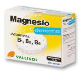 Magnesium + Bruisende B 24Comp.