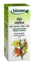 Vitis Vinifera Rode wijnstok 50 ml