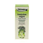 Foeniculum Vulgare Venkel 50 ml