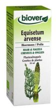 Equisetum Arvense Paardenstaart 50 ml