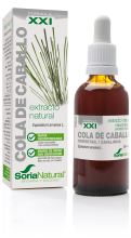 Common Horsetail Extract 21st Century