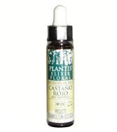 Rode Kastanje Plantis Nº 25 10 ml